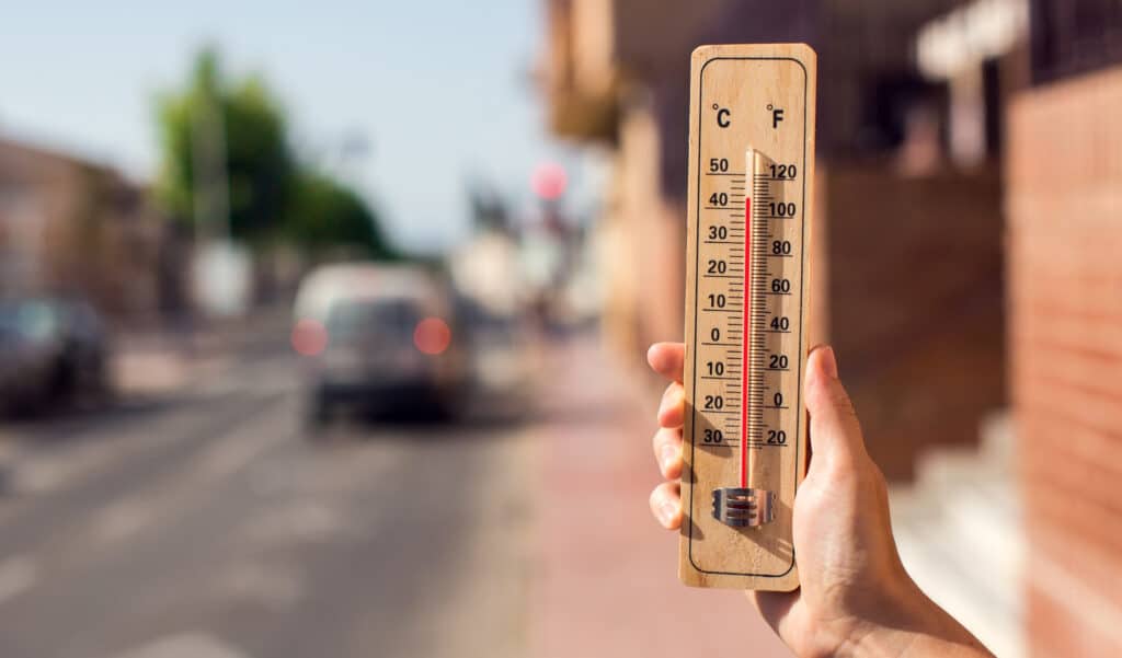 Canicule : pourquoi la temperature ressentie est plus chaude que celle affichée ?