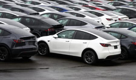 500 000 arbres abattus pour l'agrandissement d'une usine Tesla