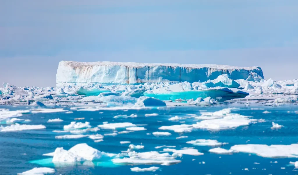 Découverte d'une créature disparue sous l'iceberg A-84