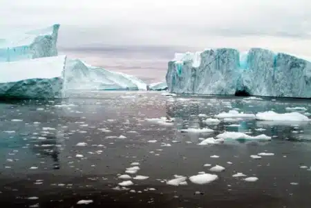 Sous 450 mètres de glace, ils tombent sur des créatures qu’on croyait impossibles