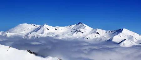 Ils dormaient sous la glace depuis des millions d'années… leur découverte stupéfie les scientifiques