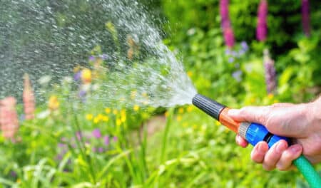 Restriction d'eau : à quelle heure peut-on arroser notre jardin pendant la sécheresse ?