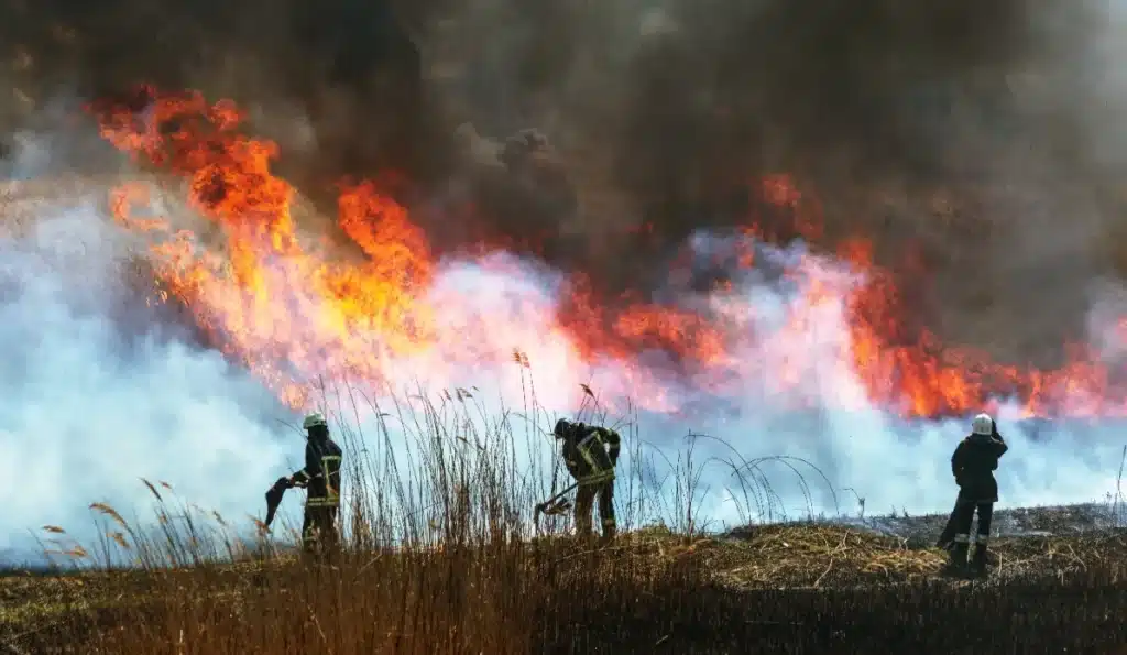 Scénario catastrophe : le réchauffement climatique va augmenter les feux de forêt dans les années à venir