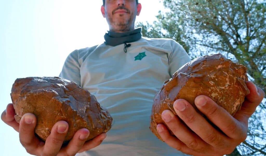 Insolite : il trouve près de 1000 œufs de dinosaure en Provence