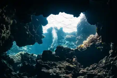 Découverte incroyable de requins fossiles dans les profondeurs des États-Unis