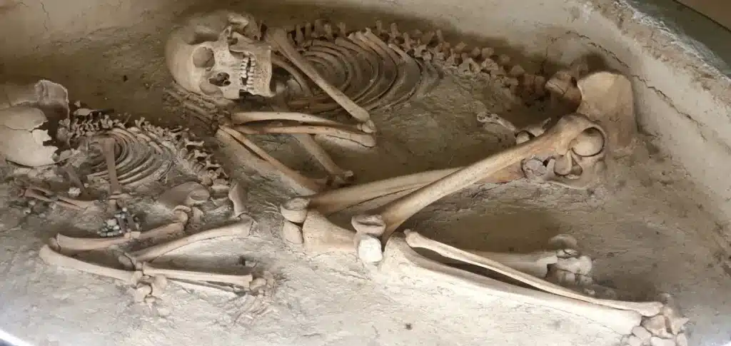 Un ADN vieux de 7 000 ans vient de révéler les secrets d"une population du Sahara