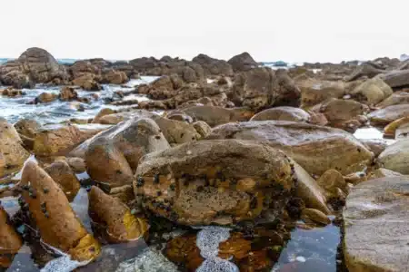 Découverte glaçante : un cimetière de géants marins refait surface en Sibérie