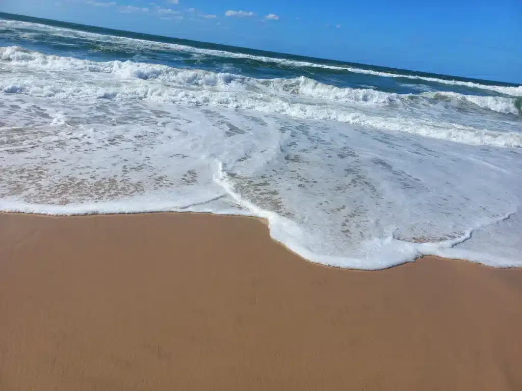 Panique en Espagne : ce prédateur mortel force la fermeture de plusieurs plages