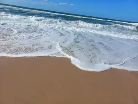 Panique en Espagne : ce prédateur mortel force la fermeture de plusieurs plages