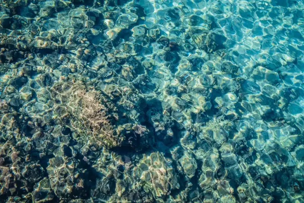 Température record en Méditerranée : faut-il s’inquiéter de cette chaleur inédite ?