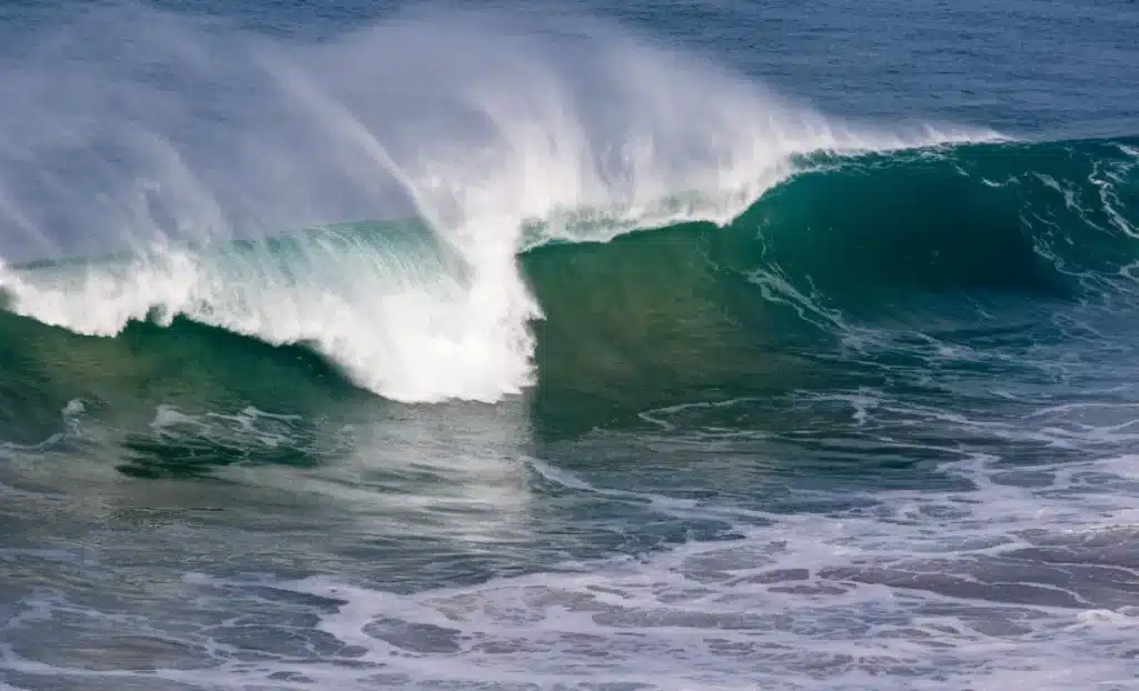 Tsunami imminent ? Les prévisions qui font trembler les experts français