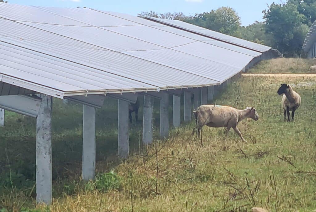 Centrale Photovoltaique Arpheuilles Jpe Brebis