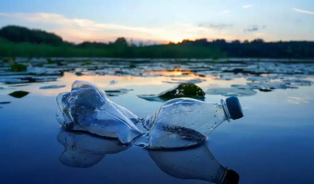 Méditerranée : cette solution ancestrale pourrait enfin nettoyer la mer la plus polluée d’Europe