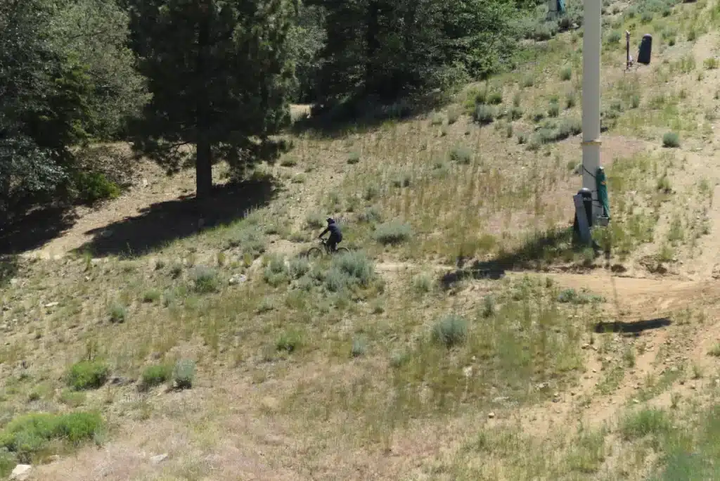 Un randonneur tombe sur une scène choquante au cœur d’un parc national protégé