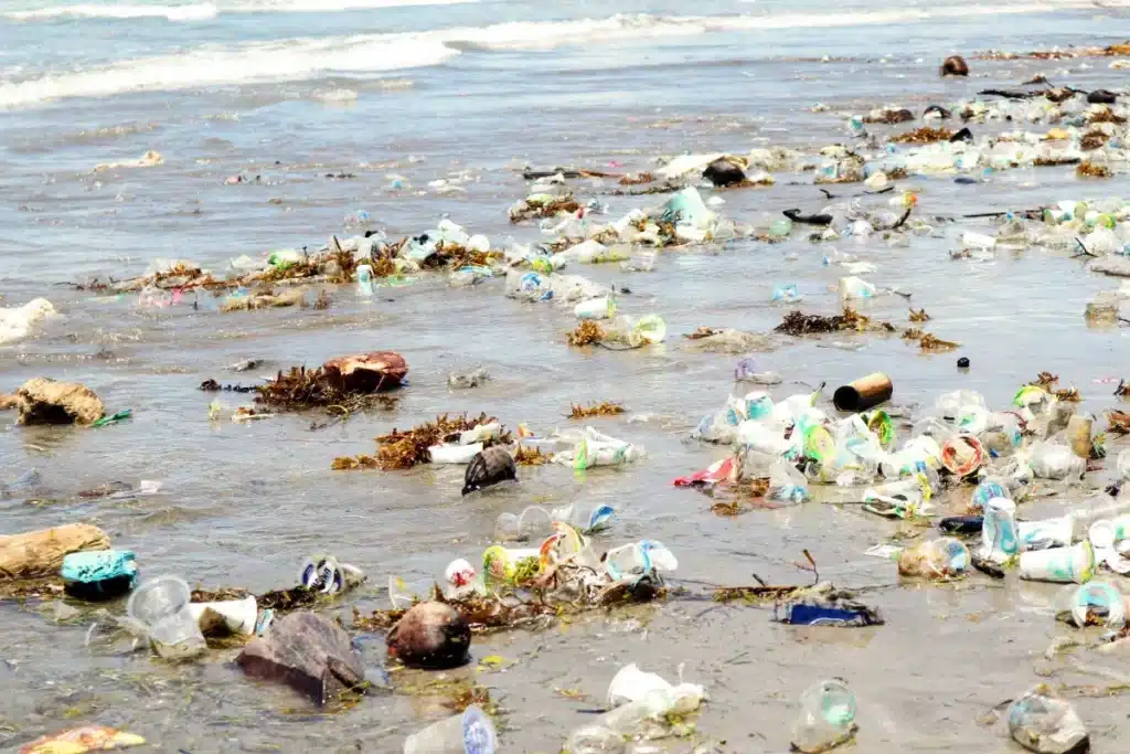 Océans en danger : ces pays qui déversent des tonnes de plastique chaque jour