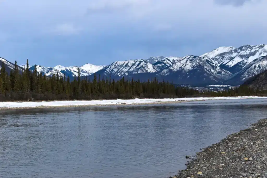 En Alaska, la fonte du sol libère des formes de vie qu’on croyait disparues depuis 40 000 ans