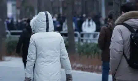 Moins de glace au pôle Nord… plus de froid chez nous ? Ce phénomène météo qui déroute les experts