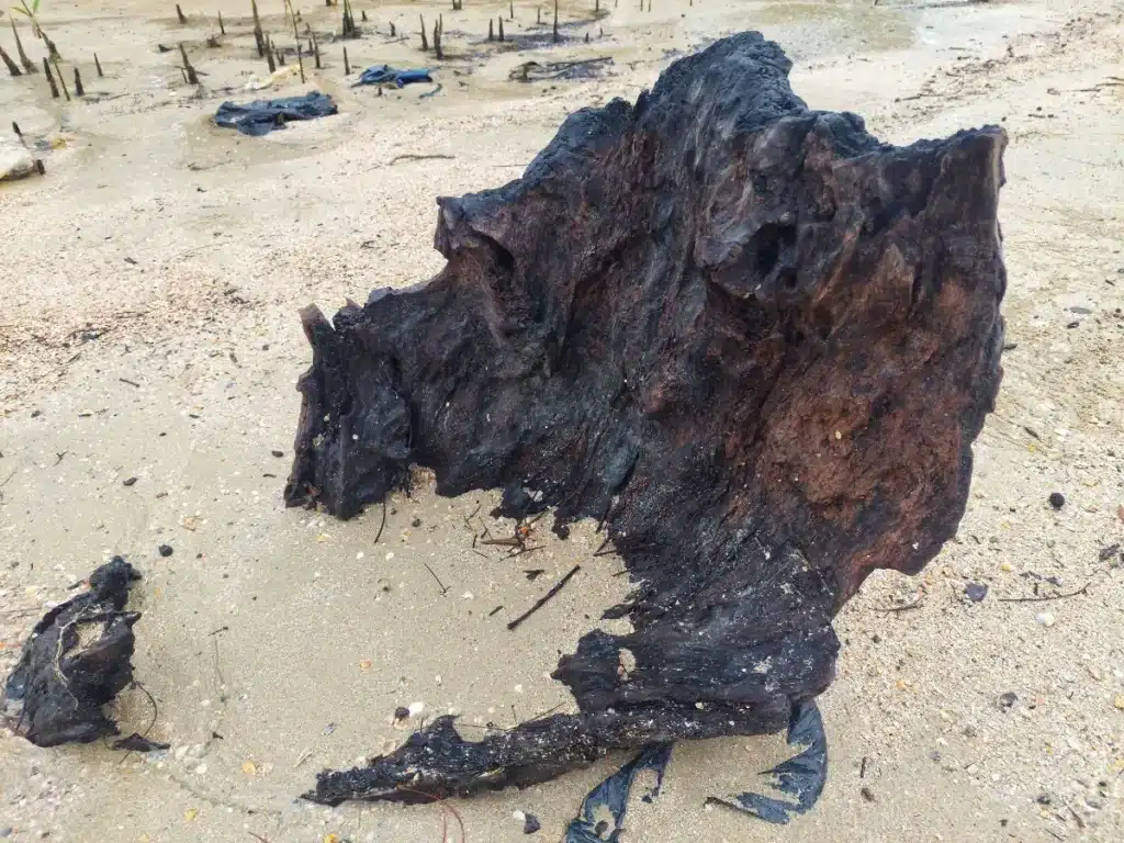 Australie : le mystère de l’objet tombé du ciel enfin résolu… et la vérité surprend