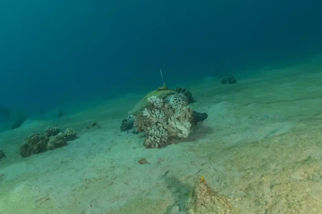 Des barils enfouis depuis des décennies : la terrible vérité refait surface au large de Los Angeles