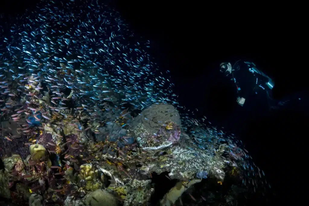 Ce que le sous-marin chinois a découvert à 10 000 mètres de fond intrigue toute la planète