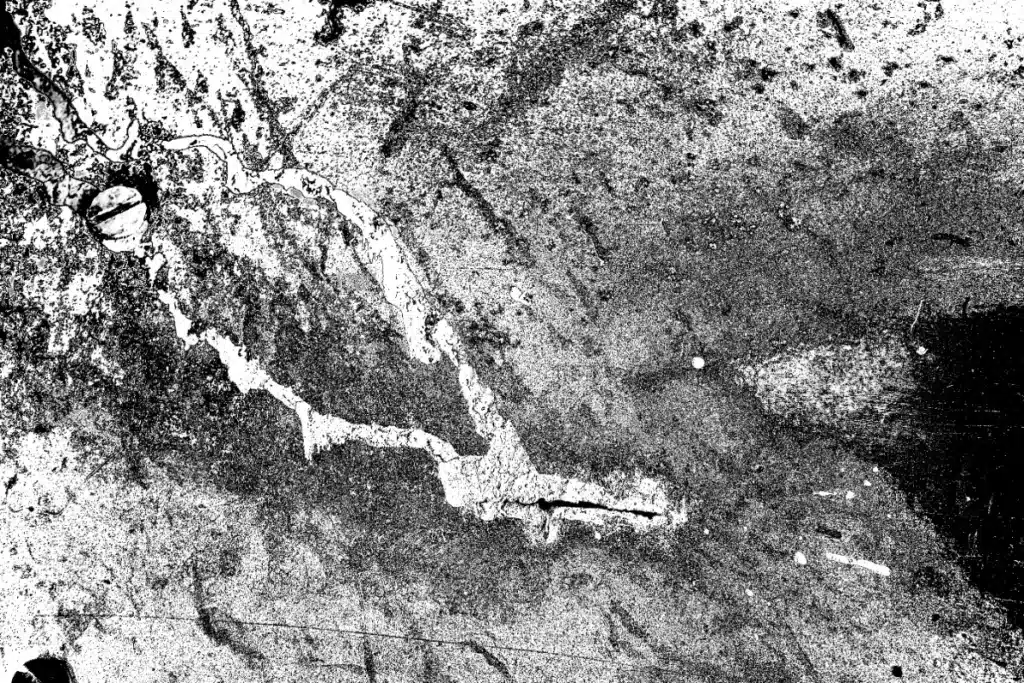 Chine : la découverte hallucinante d’un dinosaure à deux têtes qui défie la logique