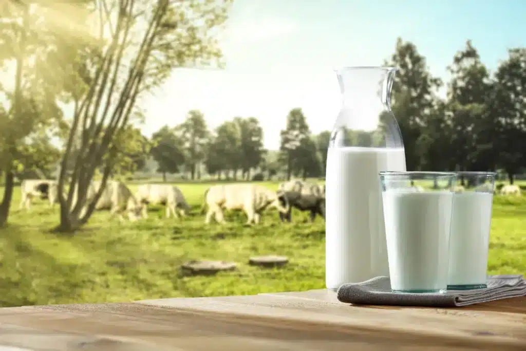 Ce qu’ils font avec le lait périmé va complètement vous surprendre