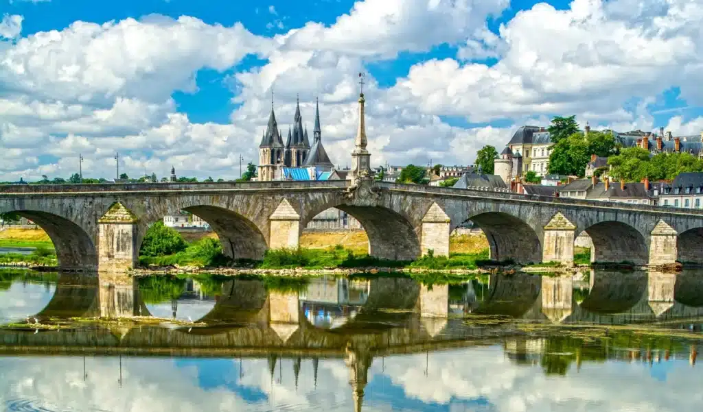 Loire polluée : la découverte inquiétante qui révèle l’ampleur du désastre invisible