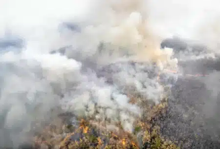 Climat : Alexis Rosenfeld lance l’ultimatum — 6 mois pour agir, sinon le pire