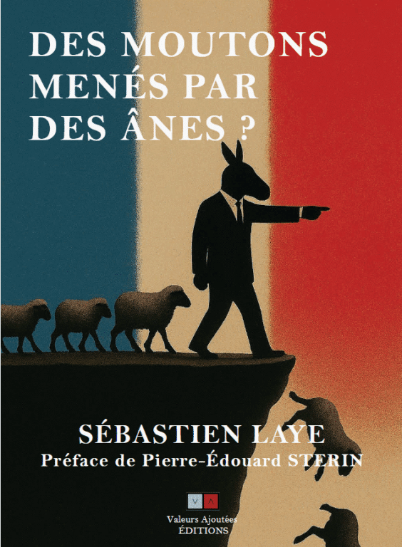 Des Moutons ânes Sebastien Laye