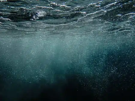 Une « boue bleue » découverte dans le Pacifique : ce que les chercheurs ont trouvé à l’intérieur dépasse l’imagination