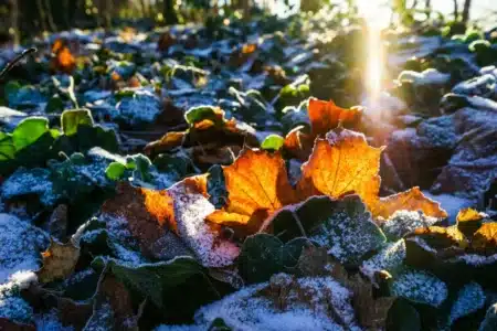 La météo pourrait totalement changer fin novembre : les prévisions qui inquiètent