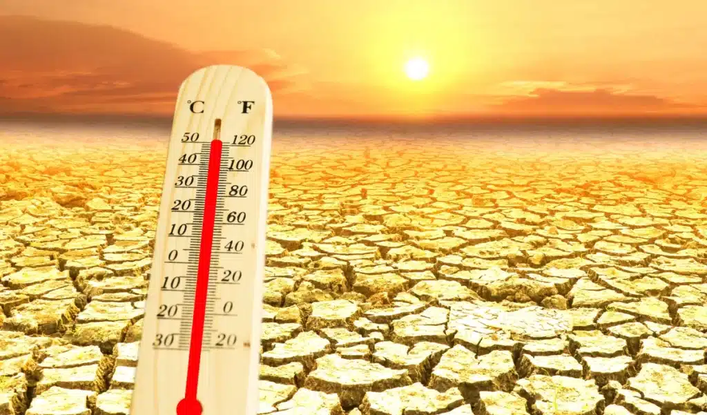 On n’avait pas connu ça depuis 125 000 ans… la planète tire la sonnette d’alarme