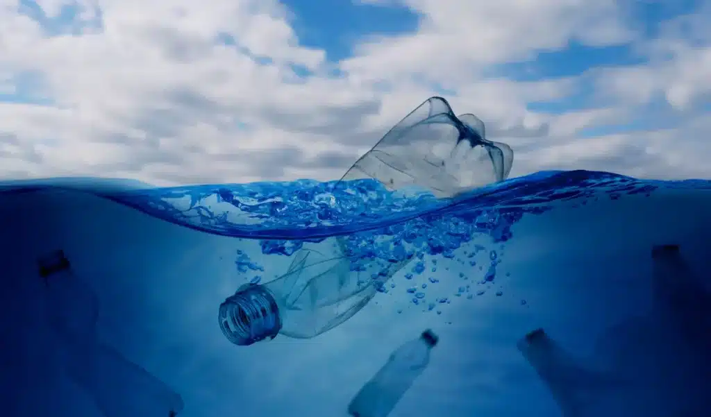 Ce que les scientifiques prévoient pour nos mers en 2060 fait froid dans le dos