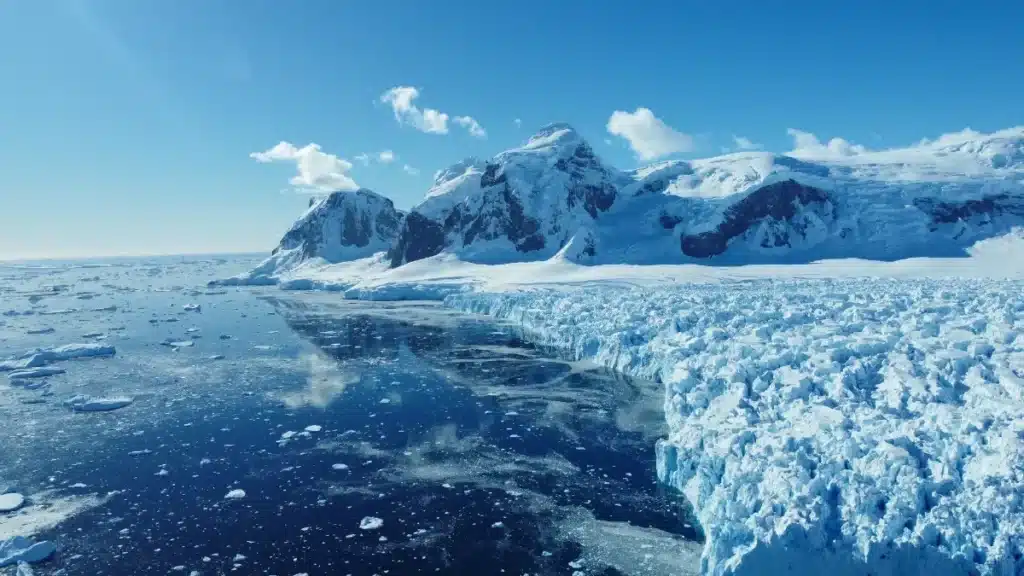 Un œuf vieux de 66 millions d’années refait surface… et il ne vient pas d’un dinosaure