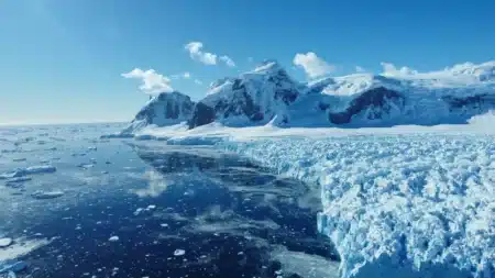 Un œuf vieux de 66 millions d’années refait surface… et il ne vient pas d’un dinosaure