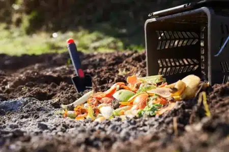 Vous empoisonnez votre compost sans le savoir : ces 5 déchets à bannir d’urgence