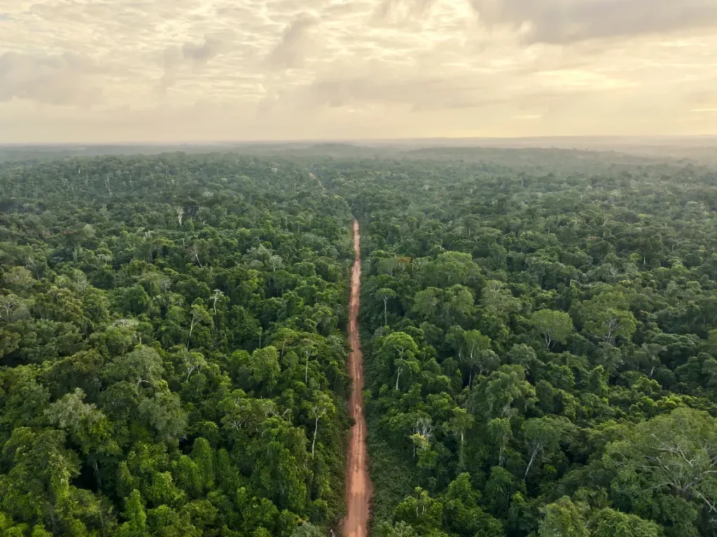 Amazonie : les scientifiques découvrent un basculement climatique si extrême qu’il n’a pas existé depuis 40 millions d’années