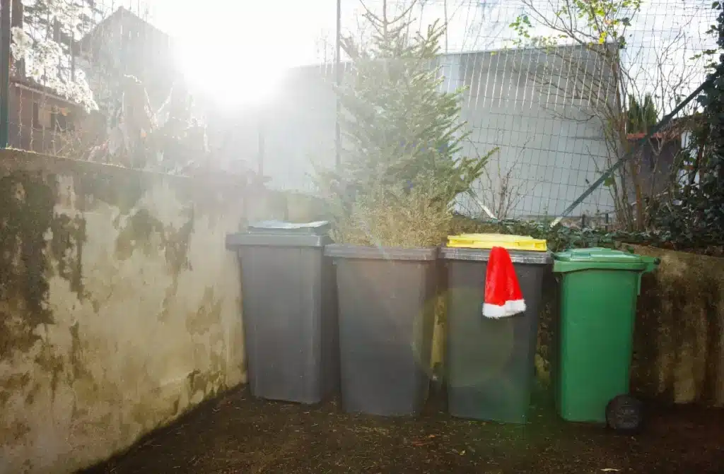 Vous les jetez chaque année après Noël… ces déchets valent pourtant de l’or pour votre jardin