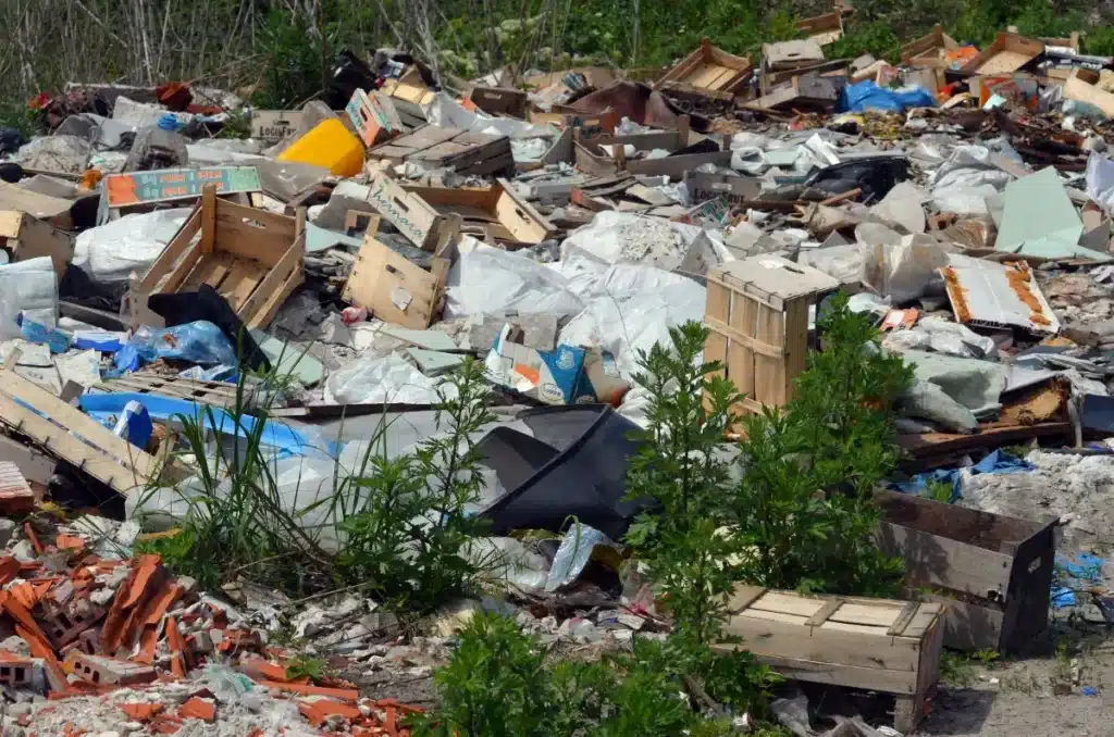 Scandale écologique : comment une entreprise familiale aurait pollué la nature pendant des années