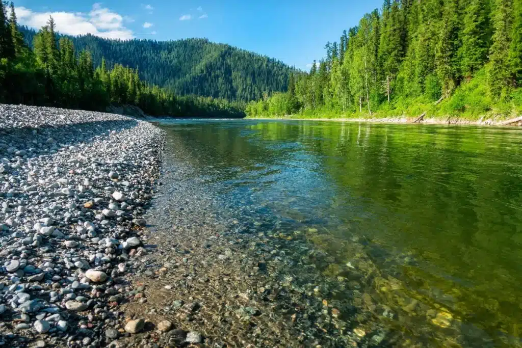Un mystère vieux d’un siècle brisé : le retour inattendu d’un saumon royal bouleverse la Californie