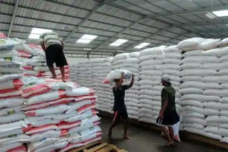 Plus besoin d’importer : comment l’Indonésie a réussi l’impensable après 35 ans de dépendance