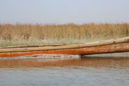 Une simple empreinte digitale pourrait bouleverser ce que l’on croyait savoir depuis 2 000 ans