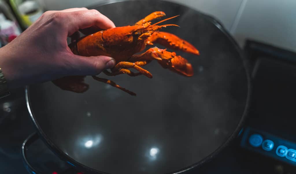 Couv News 2026 01 02t064640.667