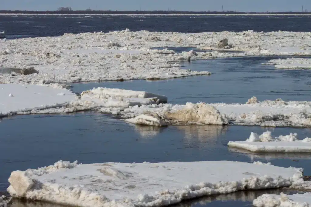 L’Elbe paralysée : ces blocs de glace géants qui prennent l’Allemagne au dépourvu