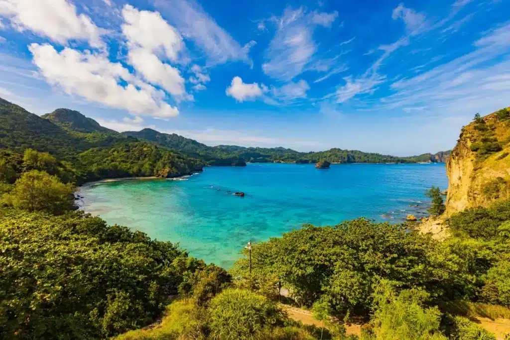 Après le départ forcé de 131 chats, la nature a déclenché une réaction totalement inattendue