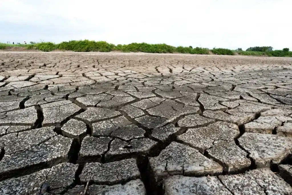 Le climat déraille plus vite que prévu : pourquoi les scientifiques tirent désormais la sonnette d’alarme