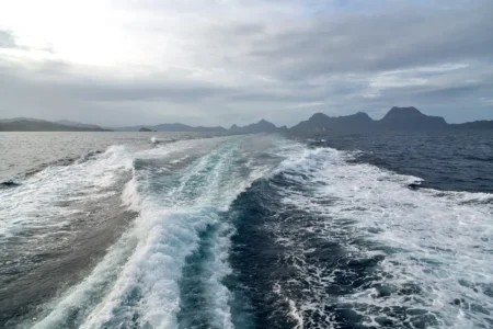 Cette découverte sur les océans profonds pourrait tout changer dans la lutte contre le CO₂