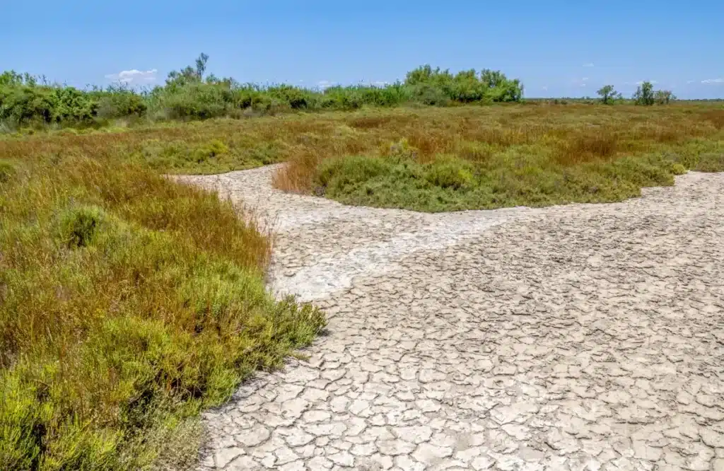 Canicule 2026 : pourquoi les experts redoutent un scénario extrême