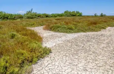 Canicule 2026 : pourquoi les experts redoutent un scénario extrême