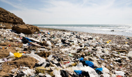 Couv News 2026 02 17t071545.999